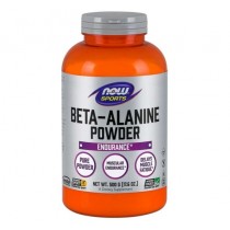 Beta Alanina Pure Powder 500mg NOW Foods